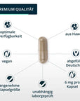 Brandl Astaxanthin