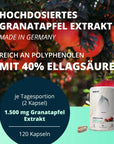 Brandl GRANATAPFEL EXTRAKT KAPSELN