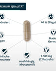 Brandl GRANATAPFEL EXTRAKT KAPSELN