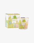 Baobab Collection Max One My First Miami