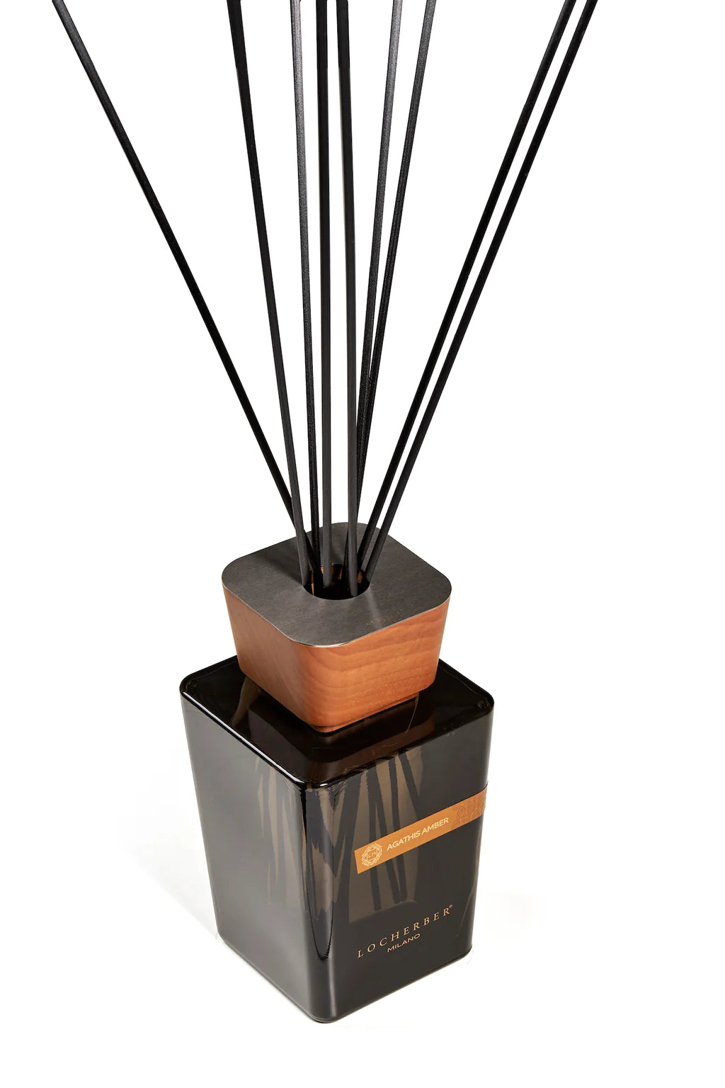 Locherber Milano Agathi’s Amber