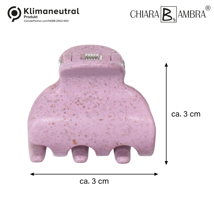 CHIARA AMBRA® Haarklammer-Set, 4-tlg., mini,mit Stroh